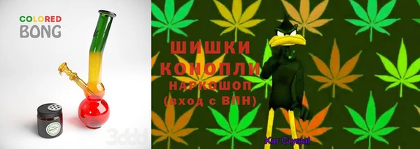 бошки Алексин