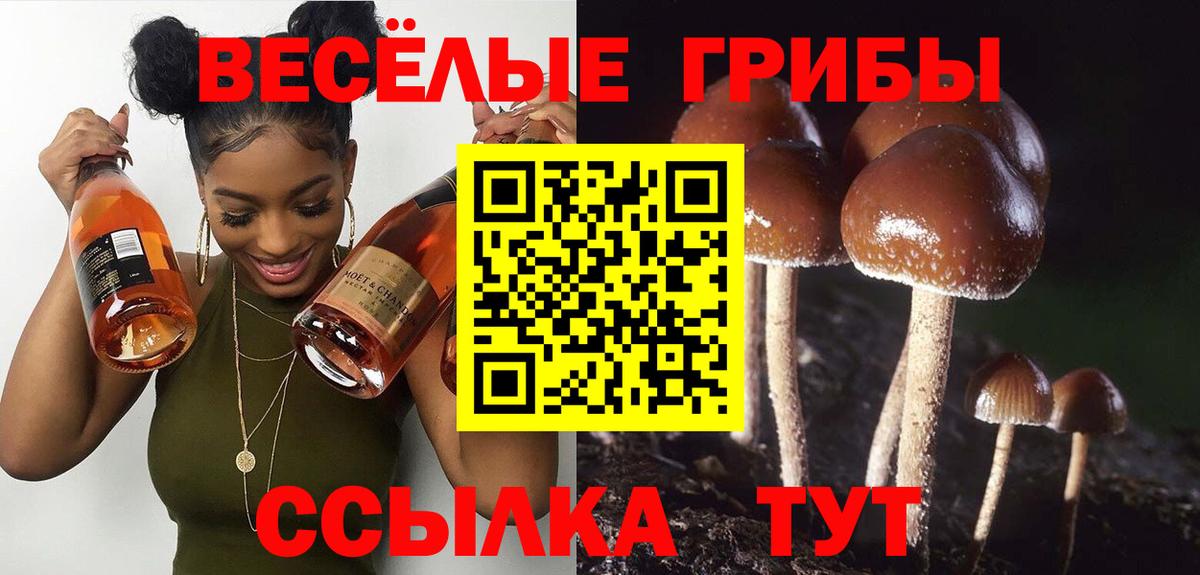 Коркино  Псилоцибиновые грибы Cubensis  Галлюциногенные грибы Cubensis  Вход с VPN 