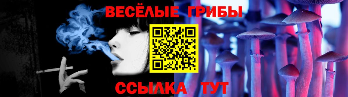 Псилоцибиновые грибы MAGIC MUSHROOMS Коркино